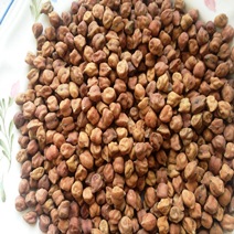 GULBAHAR CHANA KALA, 30 KG